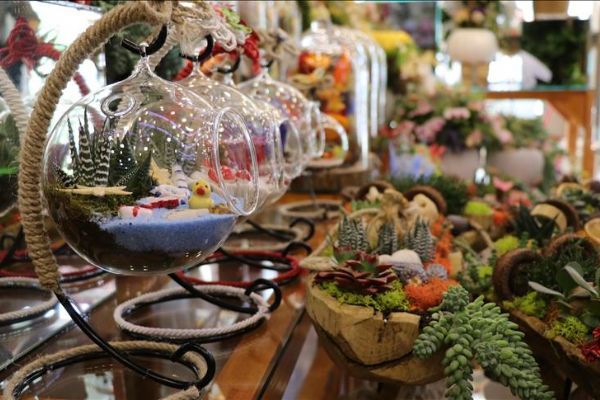 Evleri renklendiren 'mini bahçeler'