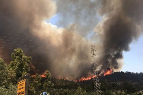 İzmir'de orman yangını!