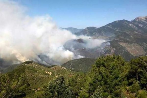 Mersin'de bir orman yangını daha