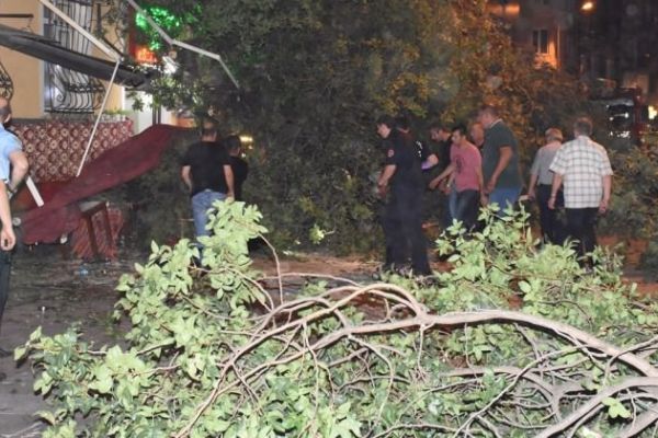 Kadıköy'de ağaç devrildi: 3 kişi yaralı