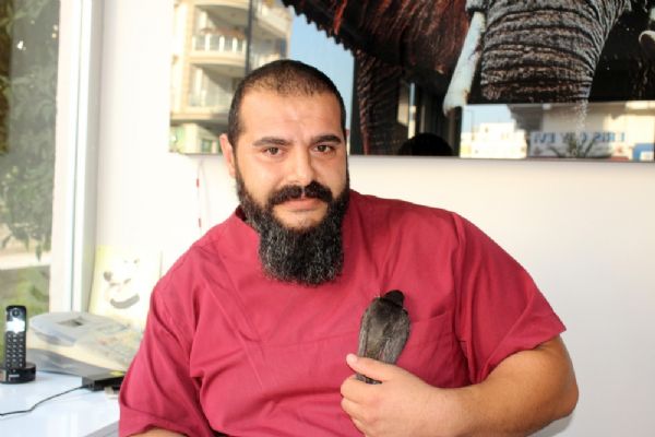 Aşırı sıcaklara Ebabil kuşu da dayanamadı