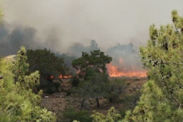 Türkiye harekete geçti!