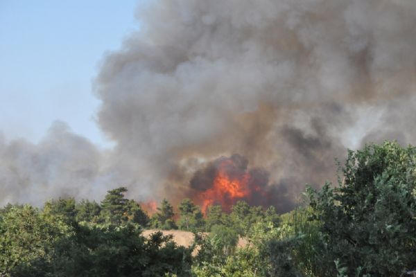 Yangın nedeniyle köy boşaltıldı