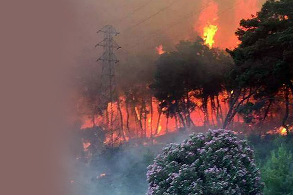 İzmir'deki yangın devam ediyor!