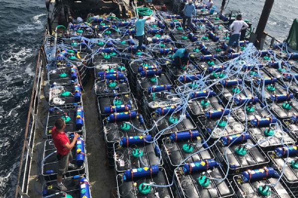 Umman'a doğru yola çıktı: Tam 1 milyon 200 bin adet!