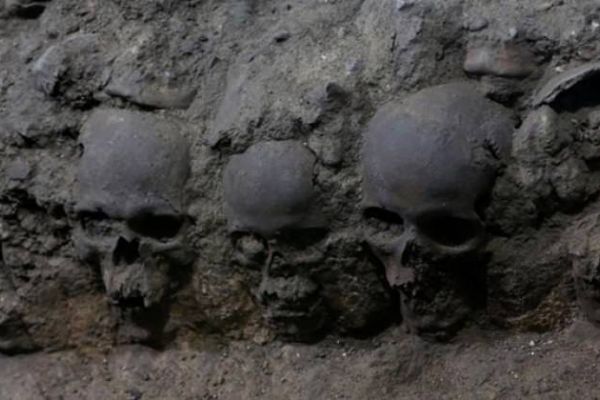 Arkeologlar 650 kafatası buldu