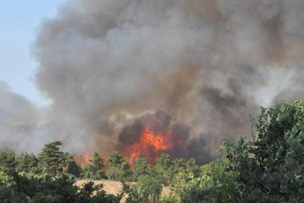 Çanakkale’de 30 hektarlık orman alanı yandı!