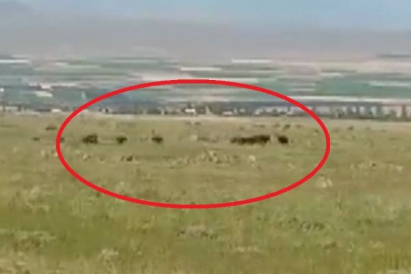 Köye böyle indiler