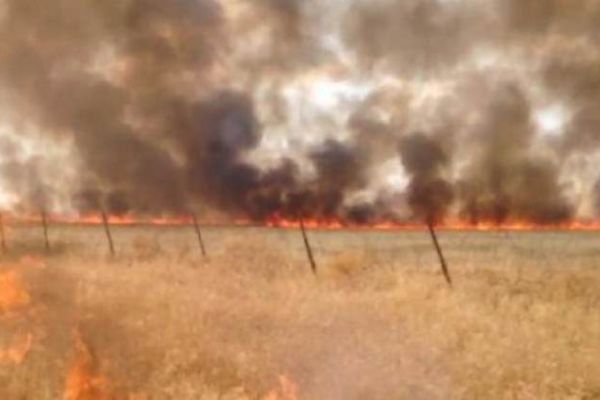 Mayınlı arazide yangın çıktı