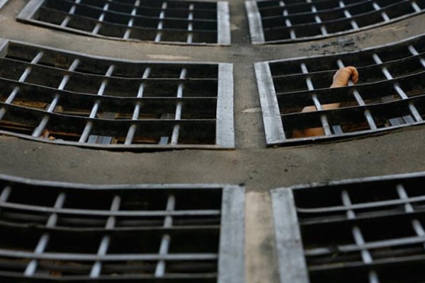 Mısır mahkemesi iki kişinin idamını onadı