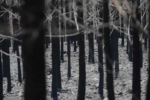 Antalya'da 8 ayrı yerde orman yangını
