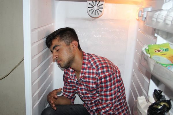 Buzdolabına girerek serinliyor