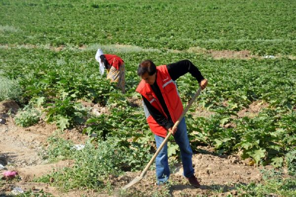 Diyarbakır artık hizmet alıyor