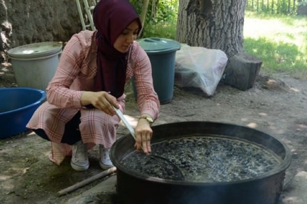 Bitlis'in ceviz reçeli ihraç ediliyor