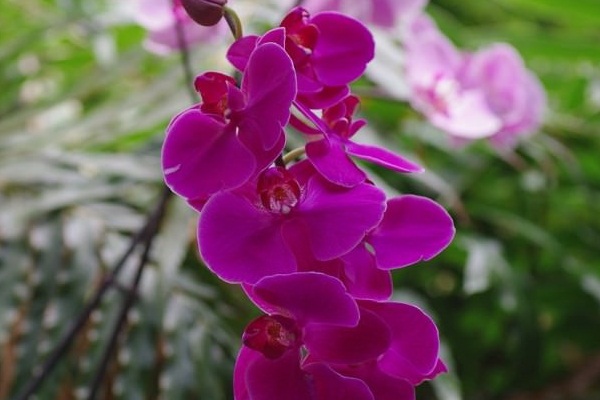 Jandarmaya yakalandı: 42 bin lira ceza verildi