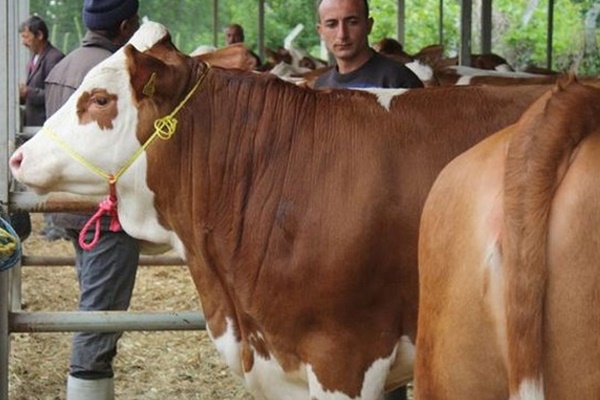 Bayram öncesi flaş karar! Artık yasak