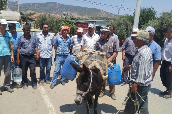 İzmir'de mahalleli eşek sırtında su taşıyor