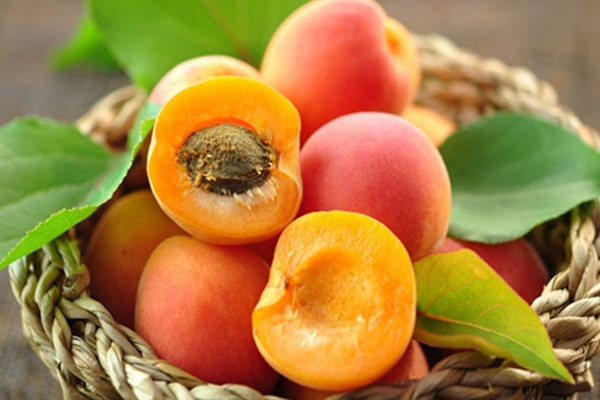 Malatya kayısısı AB'de tescillendi!