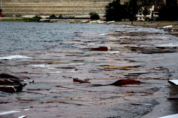 Bursa sahilinde çevre felaketi