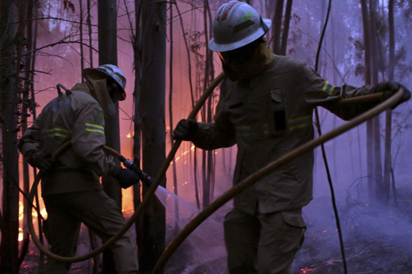 Kaliforniya ve Kanada'da orman yangınları! Binlerce kişi tahliye edildi!