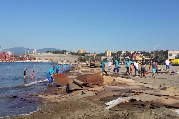 Kıyı suntalardan temizlendi