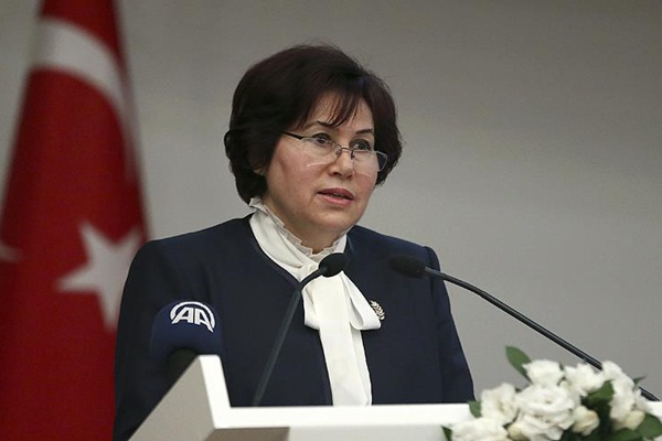 Zerrin Güngör Danıştay Başkanı seçildi