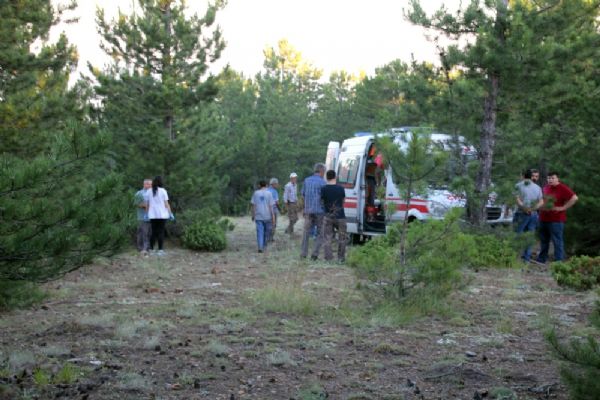Kozalak toplamaya gitmişti: Cesedi bulundu
