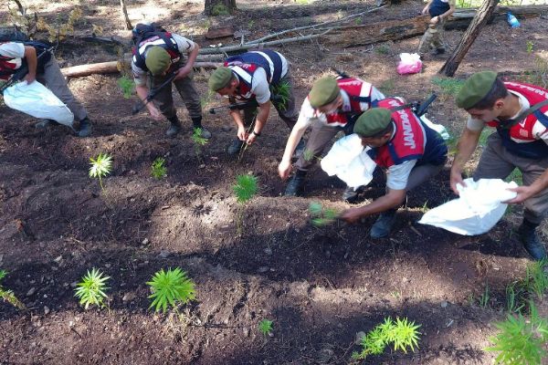 Uyuşturucu çetesi çökertildi