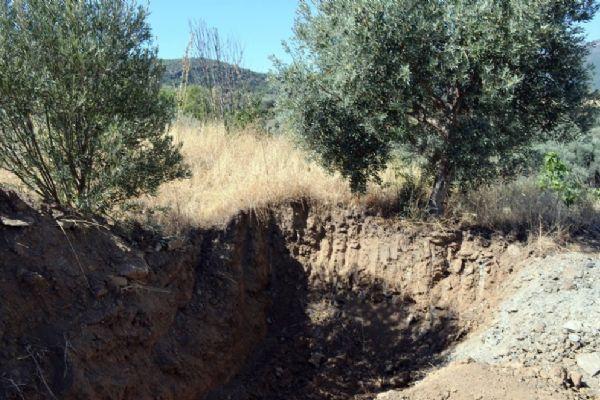 9 yıl sonra gelen itiraf: Öldürüp zeytinlik alana gömdüm