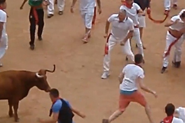 Boğayı bıraktılar, adama saldırdılar!