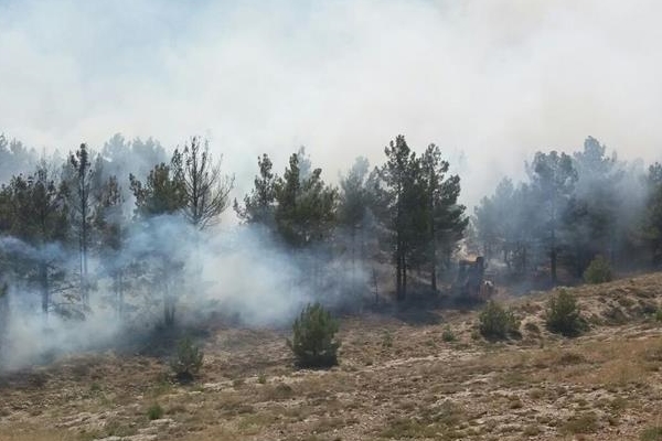Konya'da büyük orman yangını!