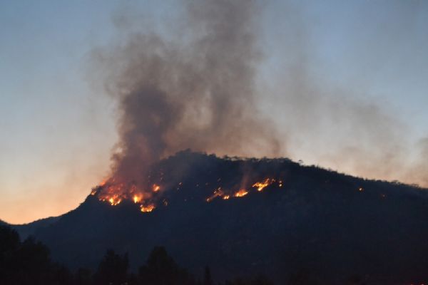 İzmir'de orman yangını