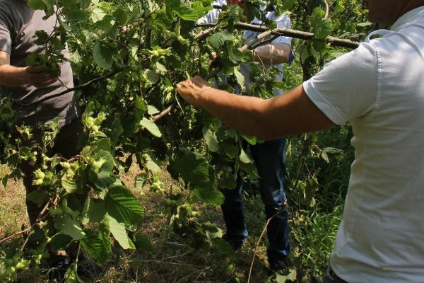 Türkiye'de 90 gün izinsiz çalışabilecekler