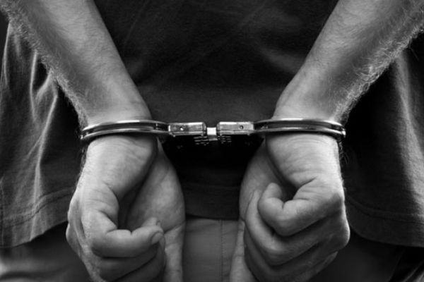 Muş merkezli FETÖ operasyonu: 55 gözaltı