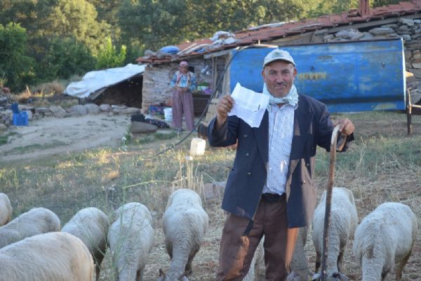 Geçmediği köprüden ceza yedi