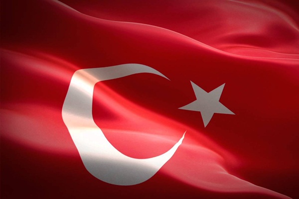 Alman vekillerle ilgili Türkiye'den yeni karar: Reddedildi