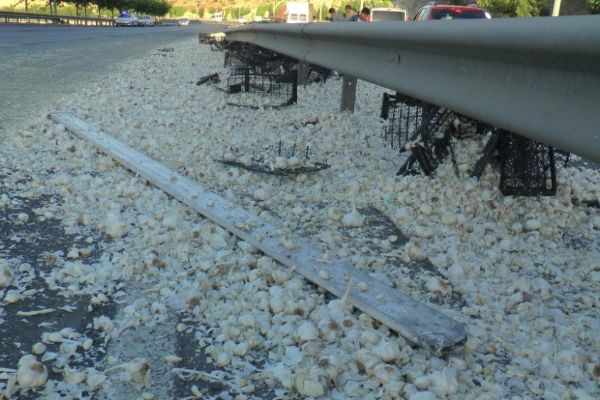 Tonlarca sarımsak yola döküldü