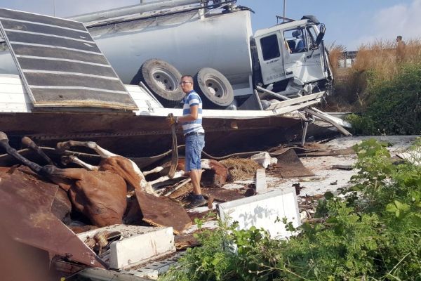 At yüklü kamyon kaza yaptı: 2 yaralı