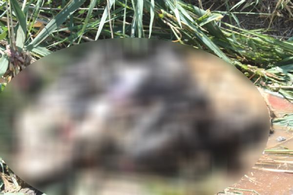 Edirne'de korkunç vahşet!