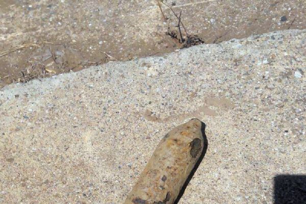 Tarlada bulundu: Ekiplere haber verildi