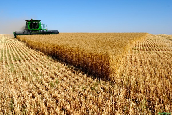 Kilis tarımdaki gücünü ticaretle taçlandıracak