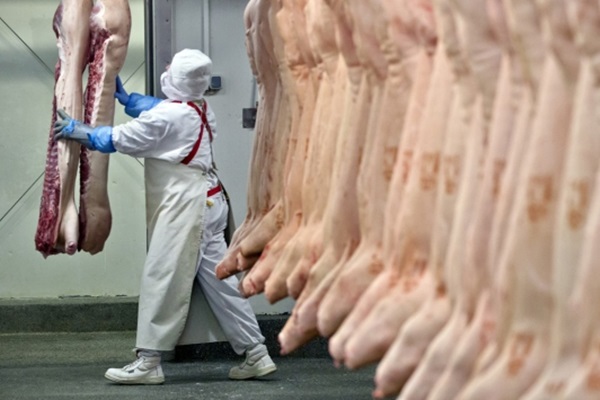 Avrupa'da at eti operasyonu!