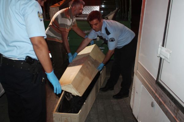 Ukraynalı kadın evinde ölü bulundu