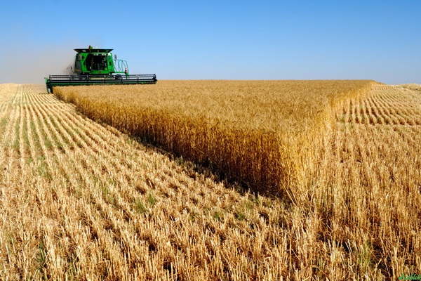 Tarımda çalışan insan sayısı arttı