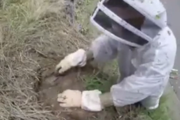 Yer altından çıkanlar şaşkına çevirdi