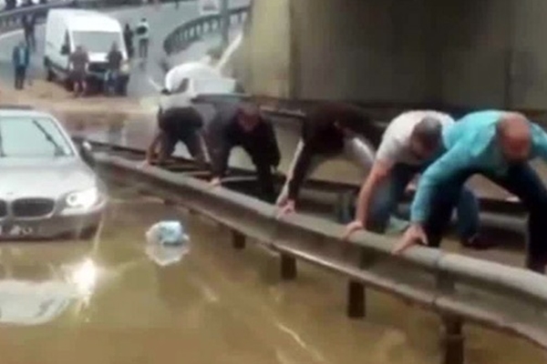 Selden timsah yürüyüşü yaparak kurtulmaya çalıştılar