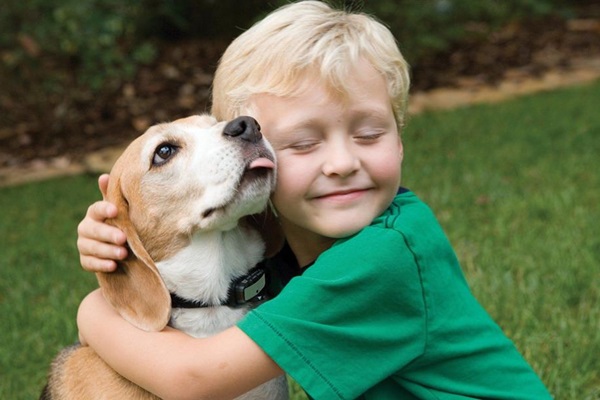 Köpeklerin dost canlılığının nedeni belli oldu