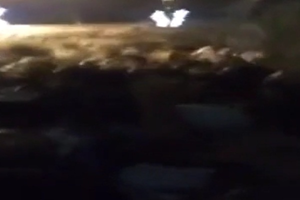 İsrail, Mescid-i Aksa'nın kapısında namaz kılan Müslümanlara saldırdı