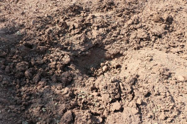 Tren raylarına tuzaklanan patlayıcı imha edildi