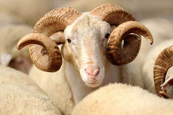 Vatandaşlara kötü haber! Fiyatları cep yakacak